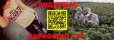 сатива Новокубанск