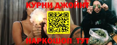 сатива Новокубанск
