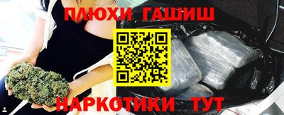 сатива Новокубанск