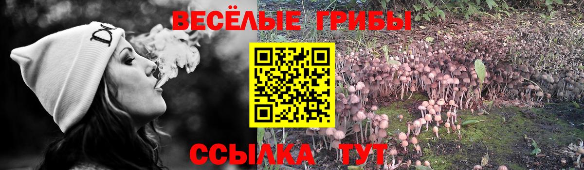 Галлюциногенные грибы Psilocybine cubensis Трёхгорный